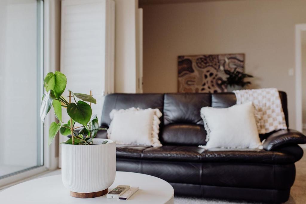 Haven On Apartment *